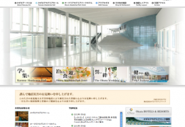 www.kap.co.jp
